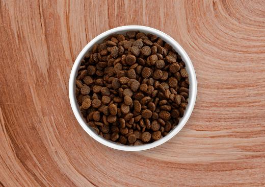 The Best Pet Ever Deserves The Best Food Ever Merrick Pet Care